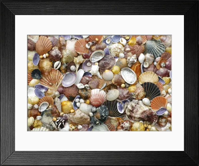 Framed Print : Picture No. 10875557 Framed Print : Picture No. 10875557