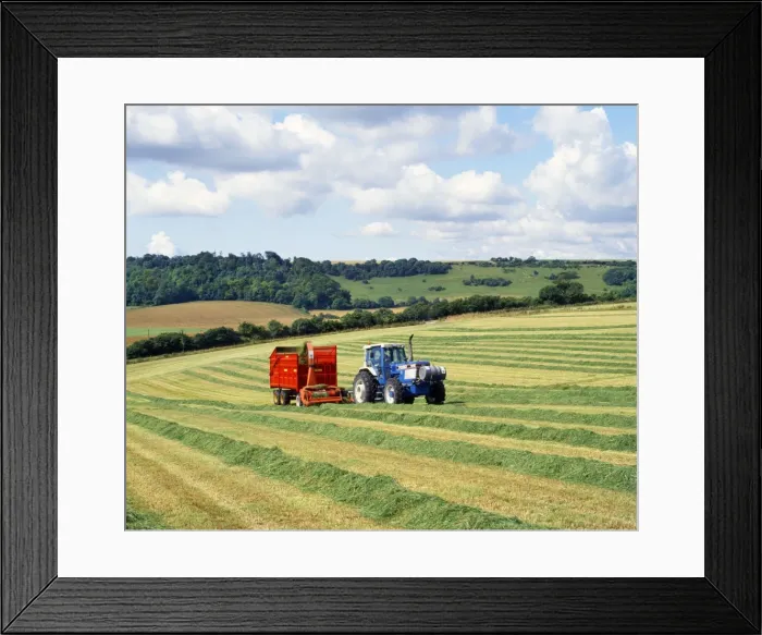Framed Print : Picture No. 10875568 Framed Print : Picture No. 10875568