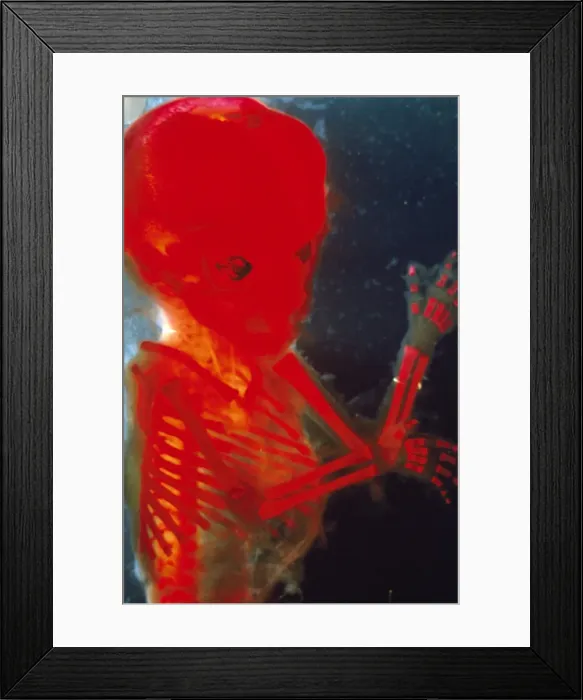 Framed Print : Picture No. 10875775 Framed Print : Picture No. 10875775