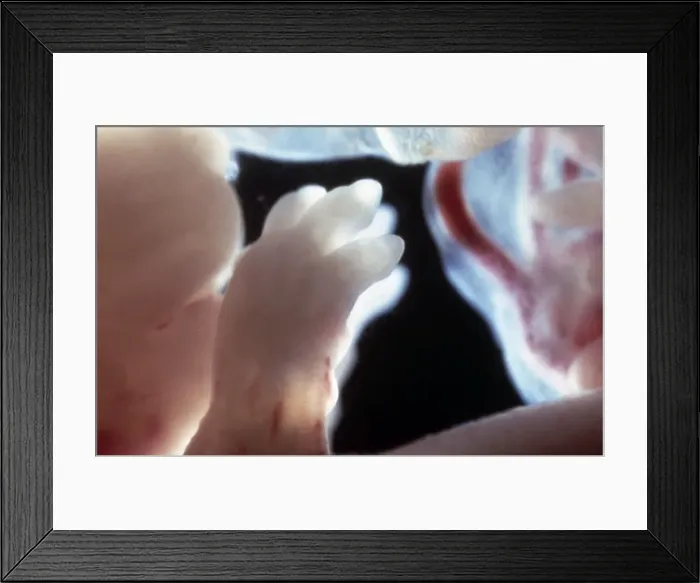 Framed Print : Picture No. 10875797 Framed Print : Picture No. 10875797