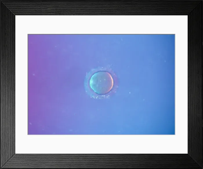Framed Print : Picture No. 10875803 Framed Print : Picture No. 10875803