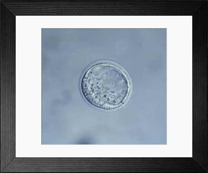 Framed Print : Picture No. 10875811 Framed Print : Picture No. 10875811