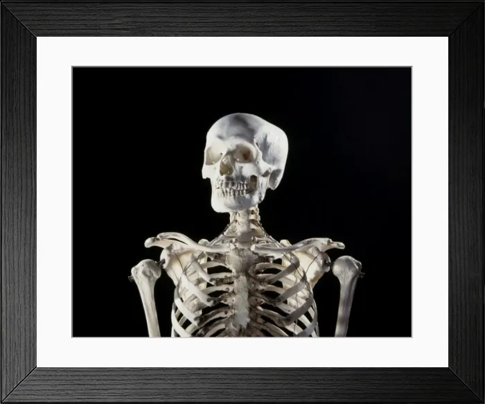 Framed Print : Picture No. 10875815 Framed Print : Picture No. 10875815