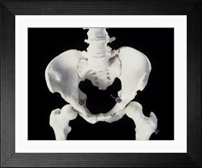 Framed Print : Picture No. 10875817 Framed Print : Picture No. 10875817