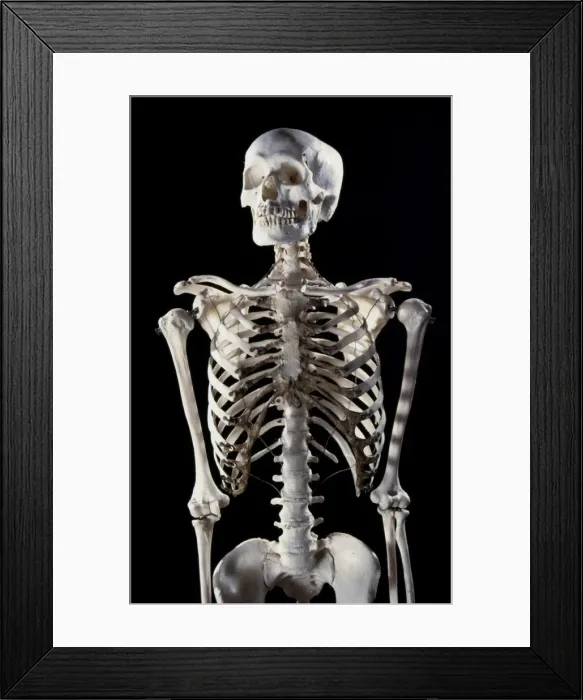 Framed Print : Picture No. 10875814