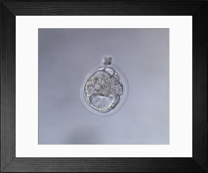 Framed Print : Picture No. 10875812 Framed Print : Picture No. 10875812