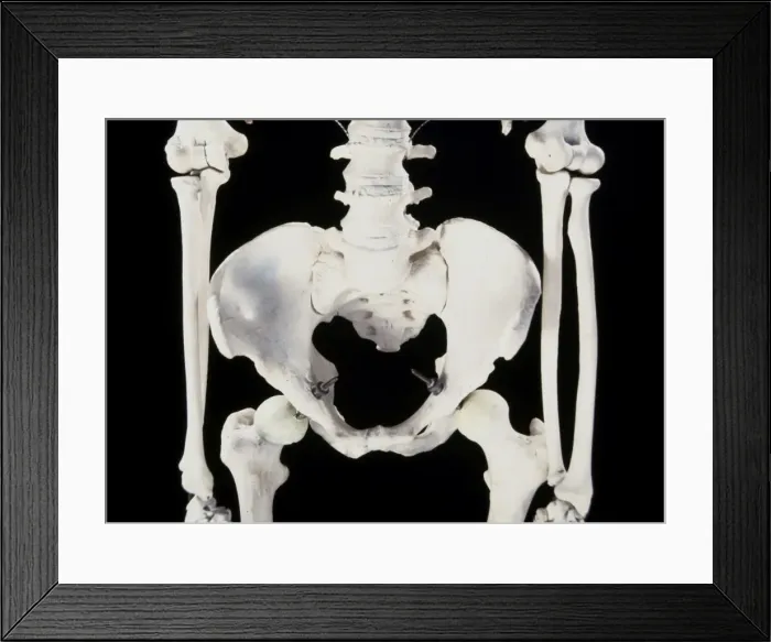 Framed Print : Picture No. 10875818 Framed Print : Picture No. 10875818