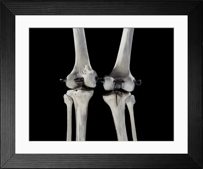 Framed Print : Picture No. 10875821 Framed Print : Picture No. 10875821