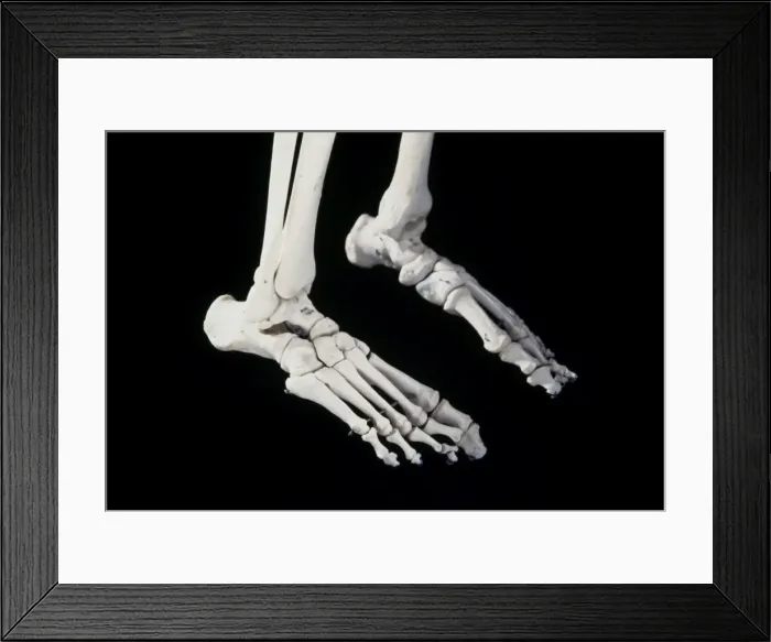 Framed Print : Picture No. 10875824 Framed Print : Picture No. 10875824