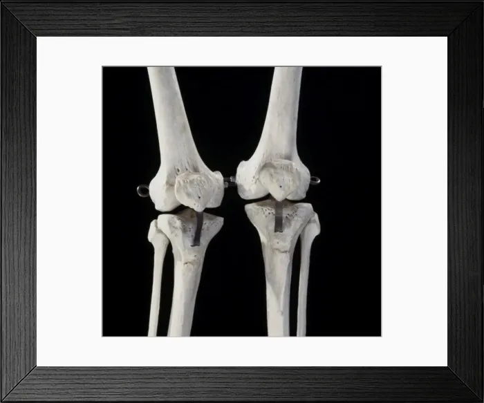 Framed Print : Picture No. 10875825 Framed Print : Picture No. 10875825
