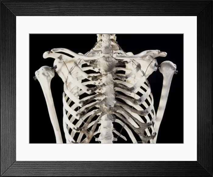 Framed Print : Picture No. 10875830