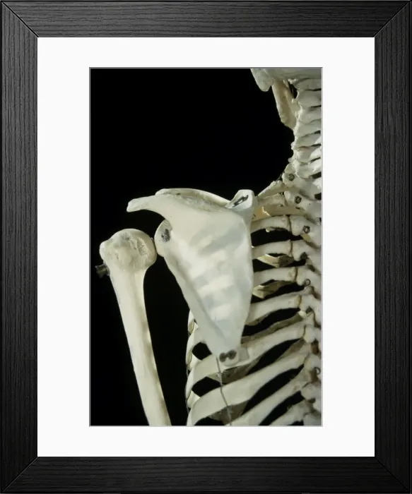 Framed Print : Picture No. 10875827