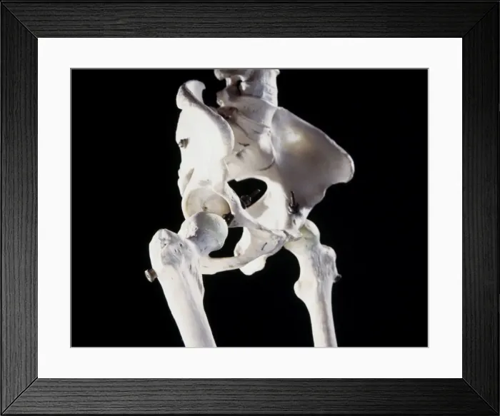 Framed Print : Picture No. 10875833 Framed Print : Picture No. 10875833