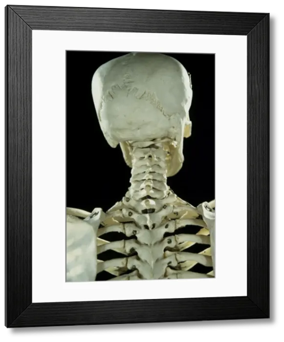 Framed Print : Picture No. 10875826 Framed Print : Picture No. 10875826