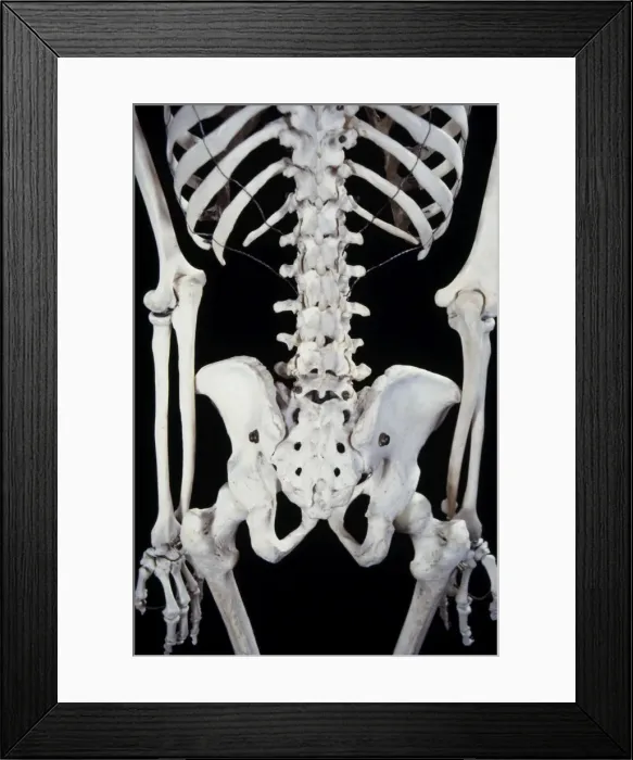Framed Print : Picture No. 10875832 Framed Print : Picture No. 10875832