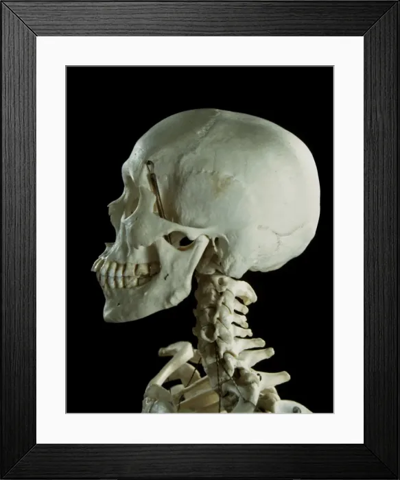 Framed Print : Picture No. 10875834 Framed Print : Picture No. 10875834