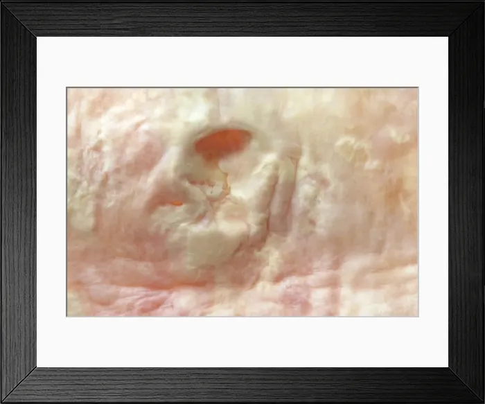 Framed Print : Picture No. 10875838 Framed Print : Picture No. 10875838