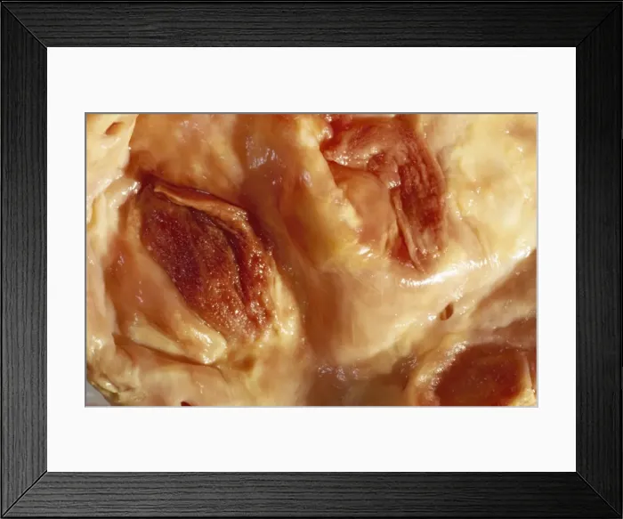 Framed Print : Picture No. 10875842 Framed Print : Picture No. 10875842