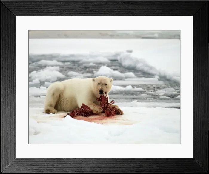 Framed Print : Picture No. 10875856 Framed Print : Picture No. 10875856