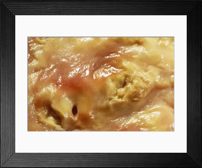 Framed Print : Picture No. 10875843 Framed Print : Picture No. 10875843
