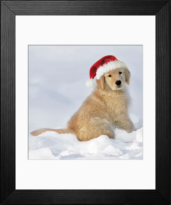 Framed Print : Picture No. 10875961 Framed Print : Picture No. 10875961