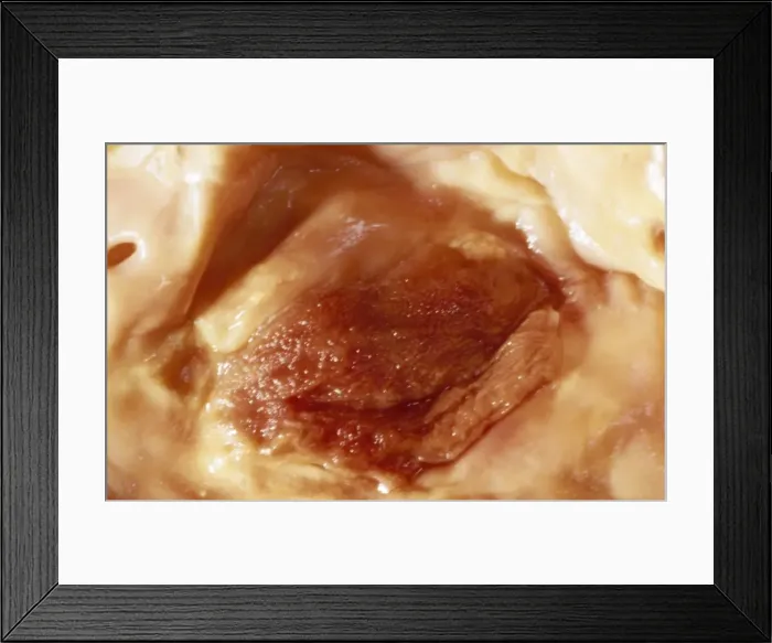 Framed Print : Picture No. 10875844 Framed Print : Picture No. 10875844