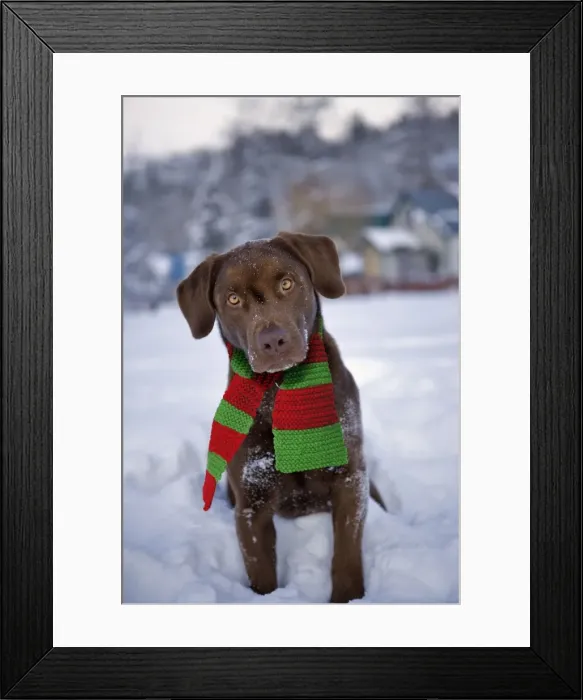 Framed Print : Picture No. 10875962 Framed Print : Picture No. 10875962