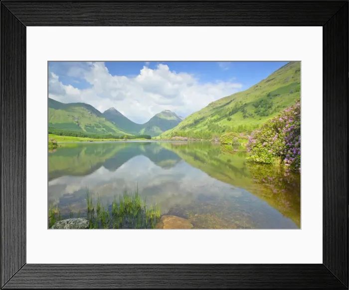 Framed Print : Picture No. 10875963 Framed Print : Picture No. 10875963