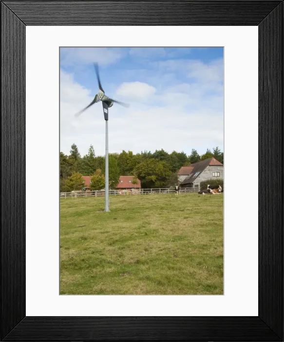 Framed Print : Picture No. 10876199 Framed Print : Picture No. 10876199