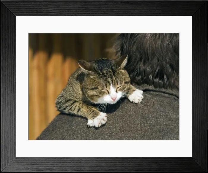 Framed Print : Picture No. 10876025 Framed Print : Picture No. 10876025