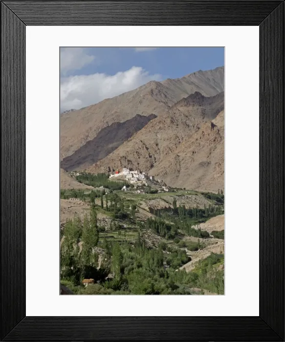 Framed Print : Picture No. 10876301 Framed Print : Picture No. 10876301