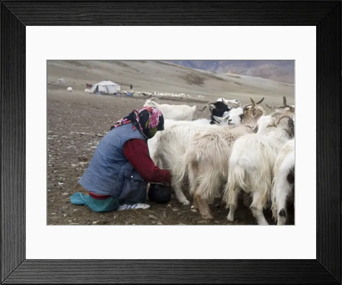 Framed Print : Picture No. 10876307 Framed Print : Picture No. 10876307