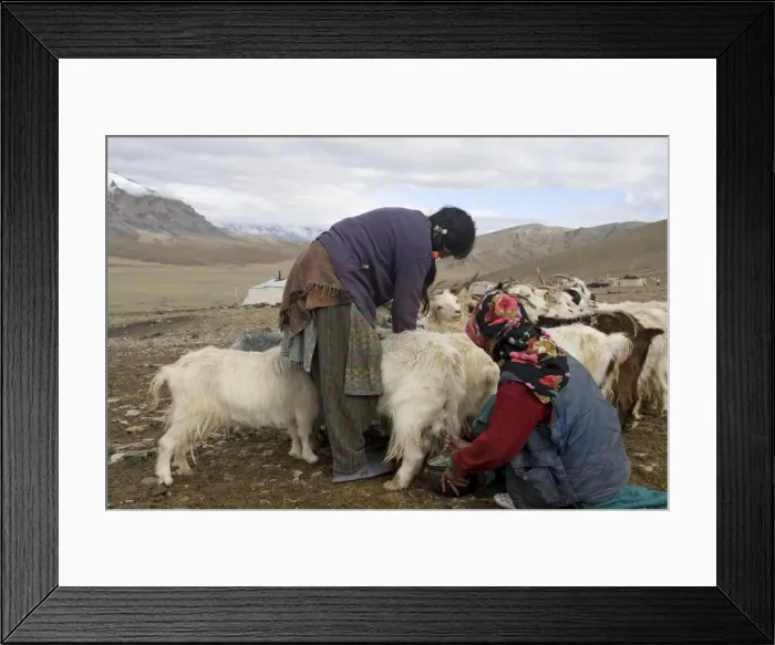 Framed Print : Picture No. 10876308 Framed Print : Picture No. 10876308
