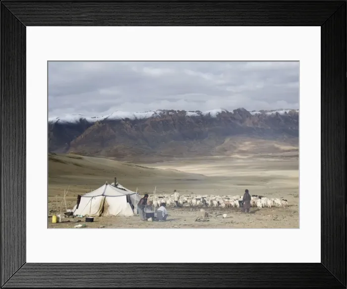 Framed Print : Picture No. 10876309