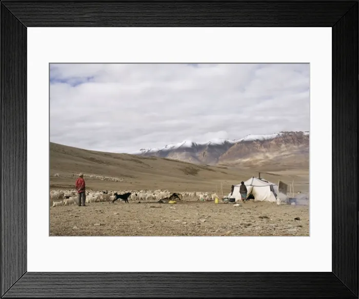 Framed Print : Picture No. 10876310 Framed Print : Picture No. 10876310