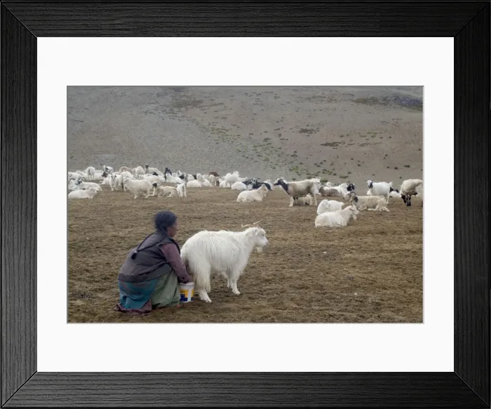 Framed Print : Picture No. 10876329 Framed Print : Picture No. 10876329