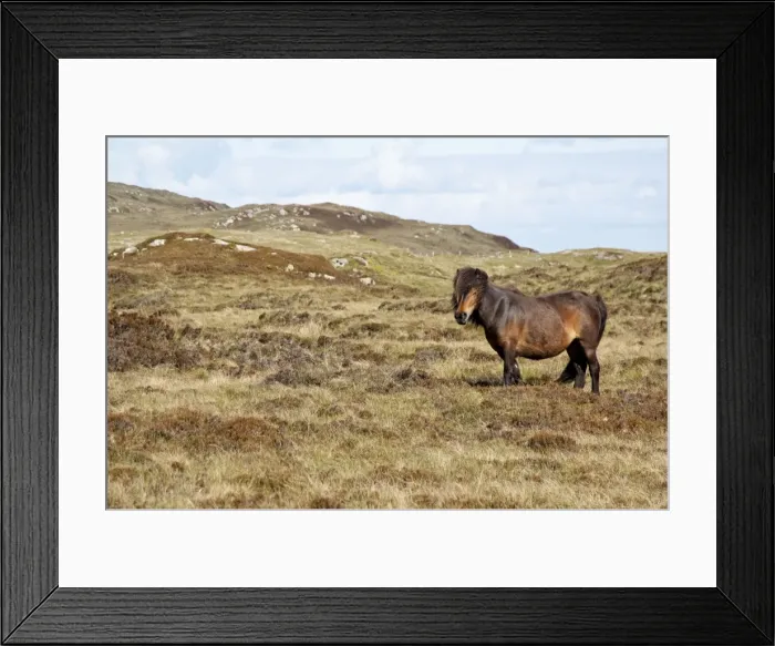 Framed Print : Picture No. 10876478 Framed Print : Picture No. 10876478