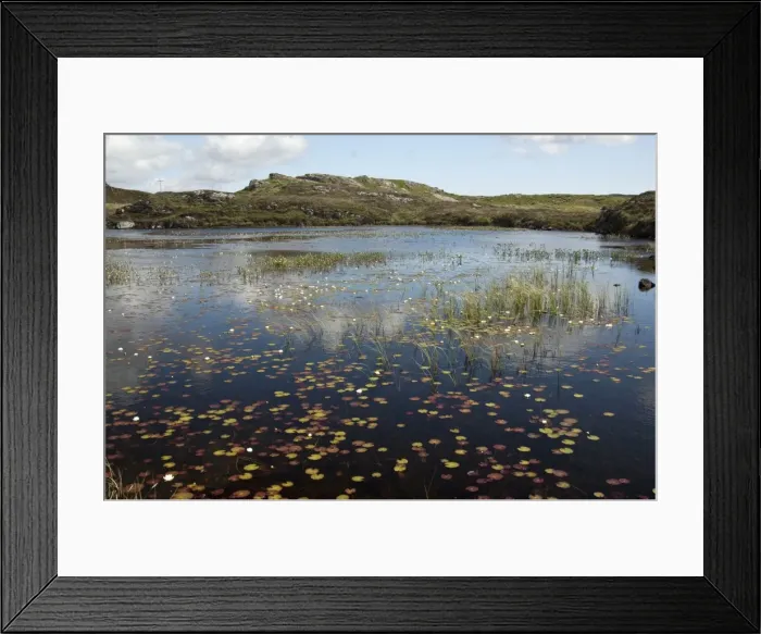 Framed Print : Picture No. 10876504 Framed Print : Picture No. 10876504