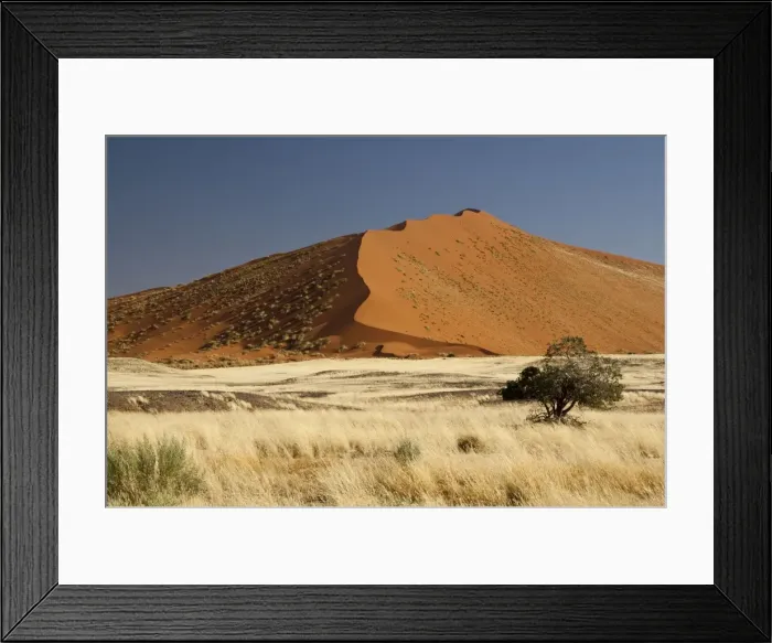 Framed Print : Picture No. 10876554 Framed Print : Picture No. 10876554