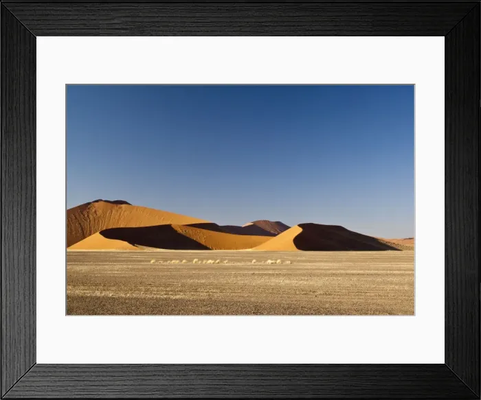 Framed Print : Picture No. 10876546 Framed Print : Picture No. 10876546