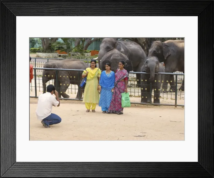 Framed Print : Picture No. 10876652