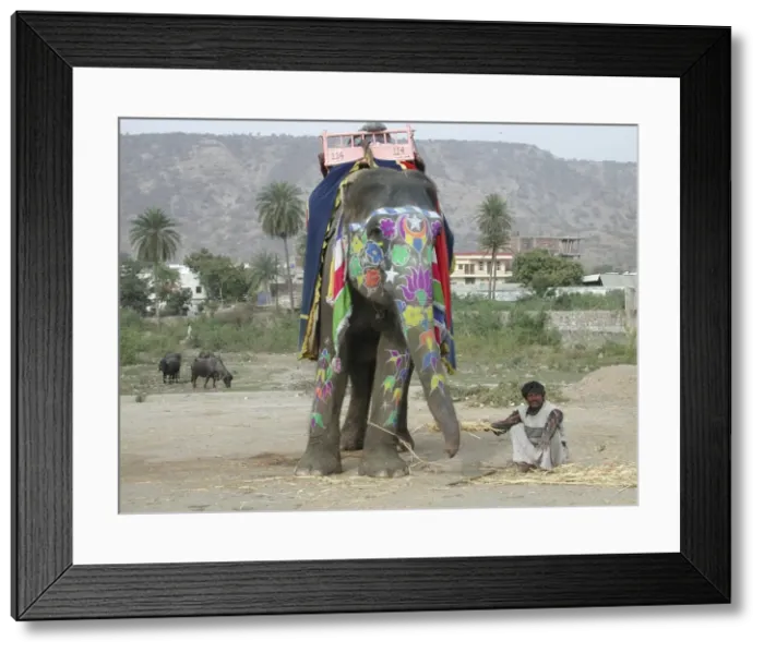 Framed Print : Picture No. 10876663 Framed Print : Picture No. 10876663