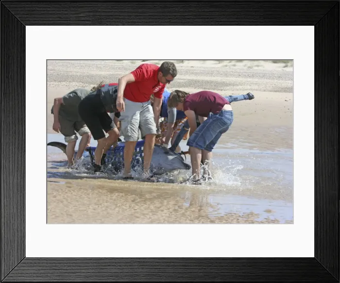 Framed Print : Picture No. 10876672
