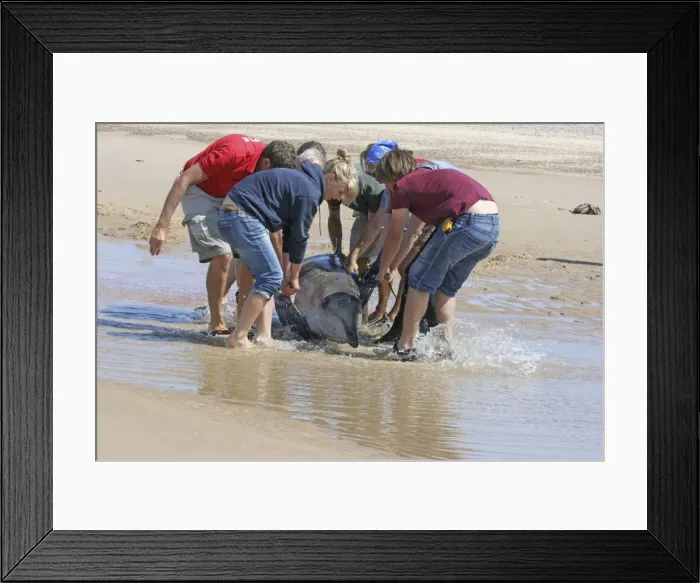 Framed Print : Picture No. 10876670
