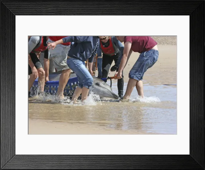 Framed Print : Picture No. 10876671 Framed Print : Picture No. 10876671