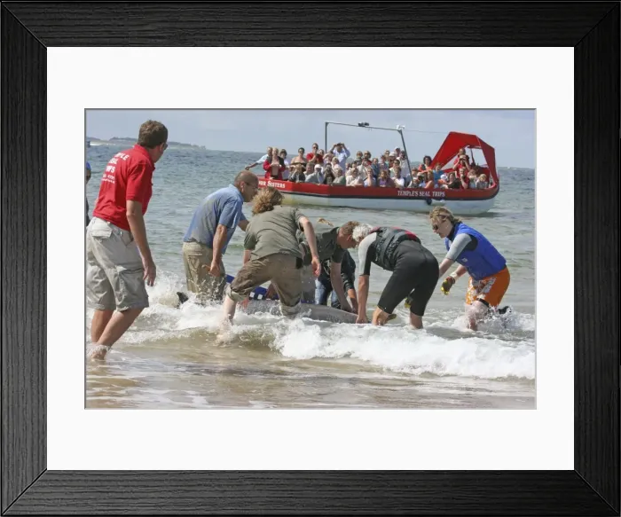 Framed Print : Picture No. 10876674 Framed Print : Picture No. 10876674