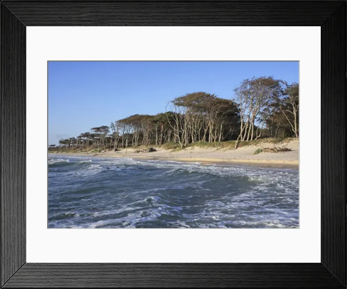 Framed Print : Picture No. 10876793 Framed Print : Picture No. 10876793
