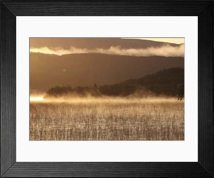 Framed Print : Picture No. 10876828 Framed Print : Picture No. 10876828