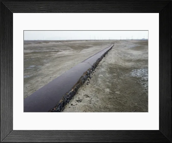 Framed Print : Picture No. 10876900 Framed Print : Picture No. 10876900