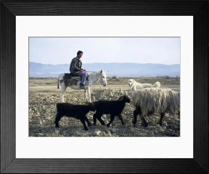 Framed Print : Picture No. 10876894 Framed Print : Picture No. 10876894